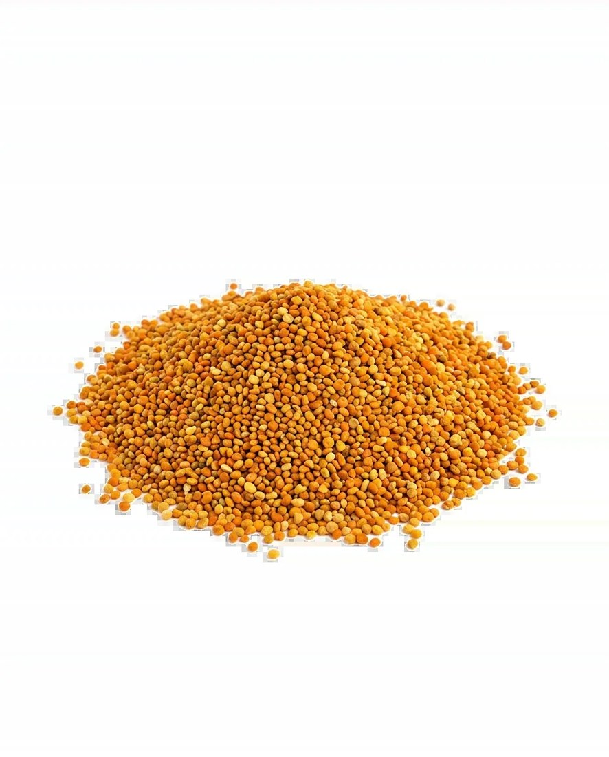 Supplement granules